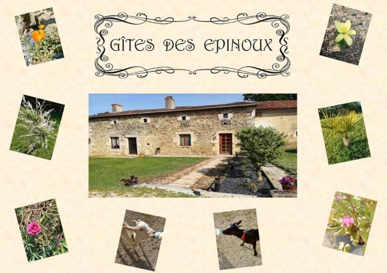 Le Papillon Villa Savigne Exterior foto
